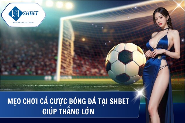 Chia sẻ kinh nghiệm cá cược tại SHBet