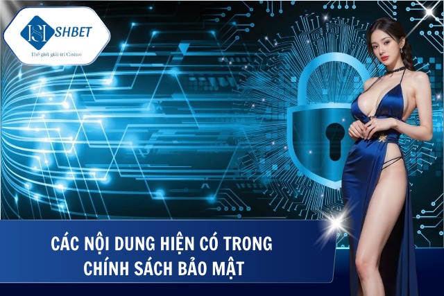 Tổng hợp các quy định hiện hành tại chính sách bảo mật