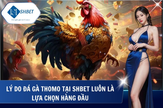 Ưu điểm đá gà tại SHBet